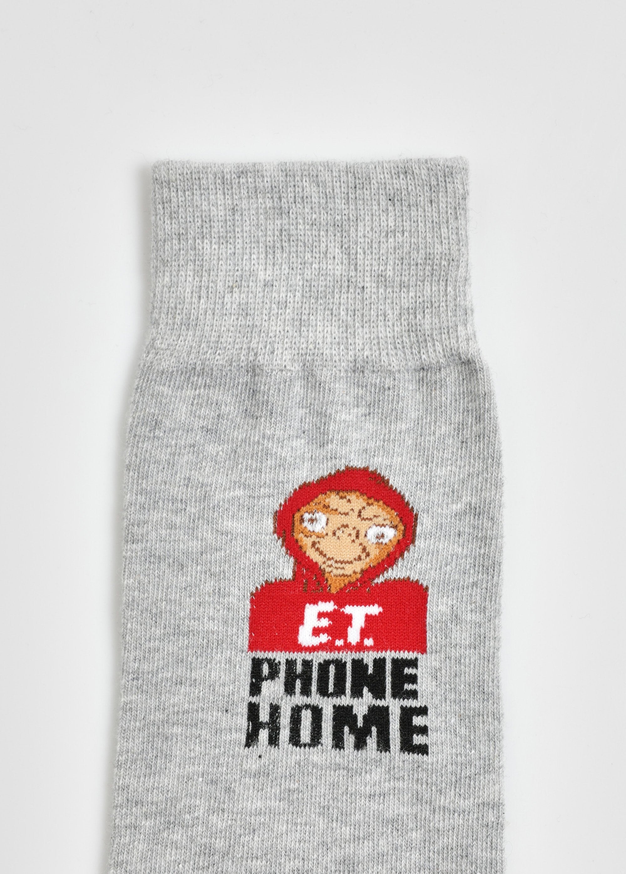 Pair_of_ET_license_socks_Light_gray_DE2_slim