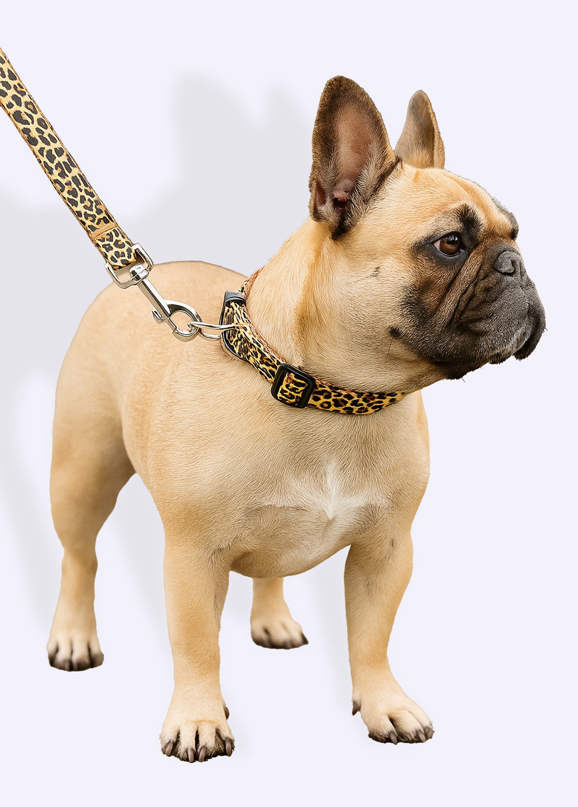 Leopard_print_dog_collar_and_leash_YELLOW_FA1_slim