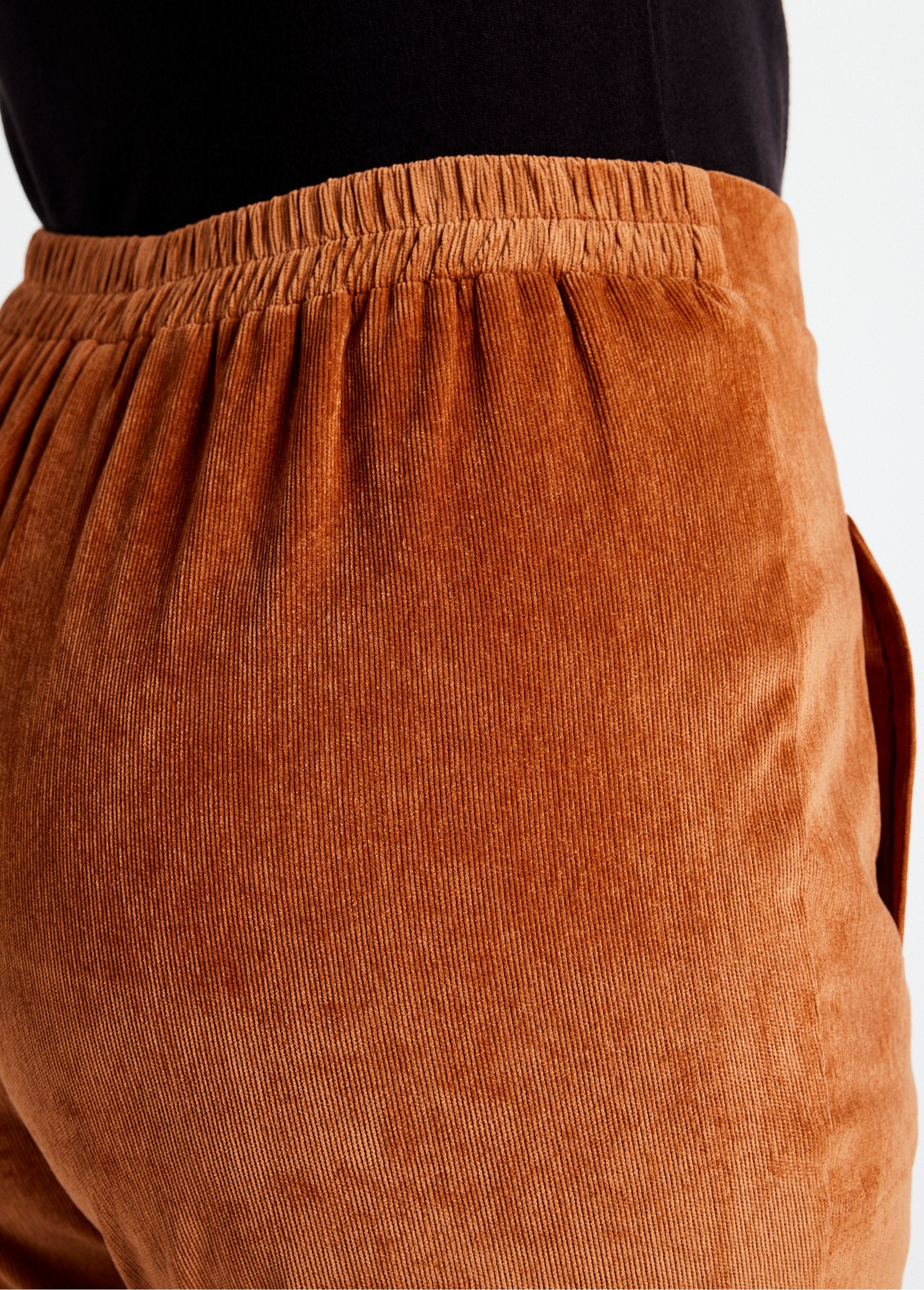 Straight_pants_with_elasticated_waist_and_milleraies_velvet_Caramel_DE2_slim