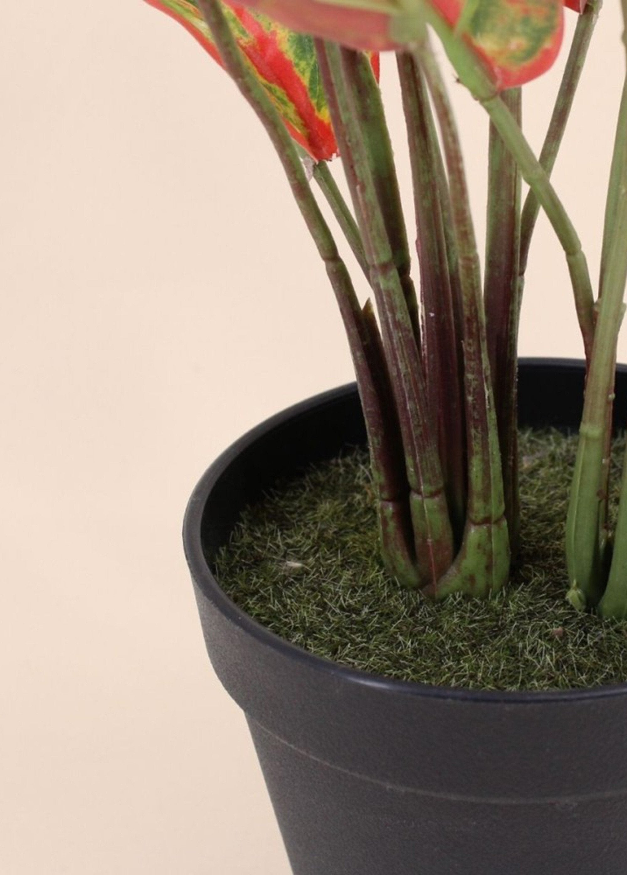 Artificial_Aglaonema_plant_+_pot_Black_DE2_slim