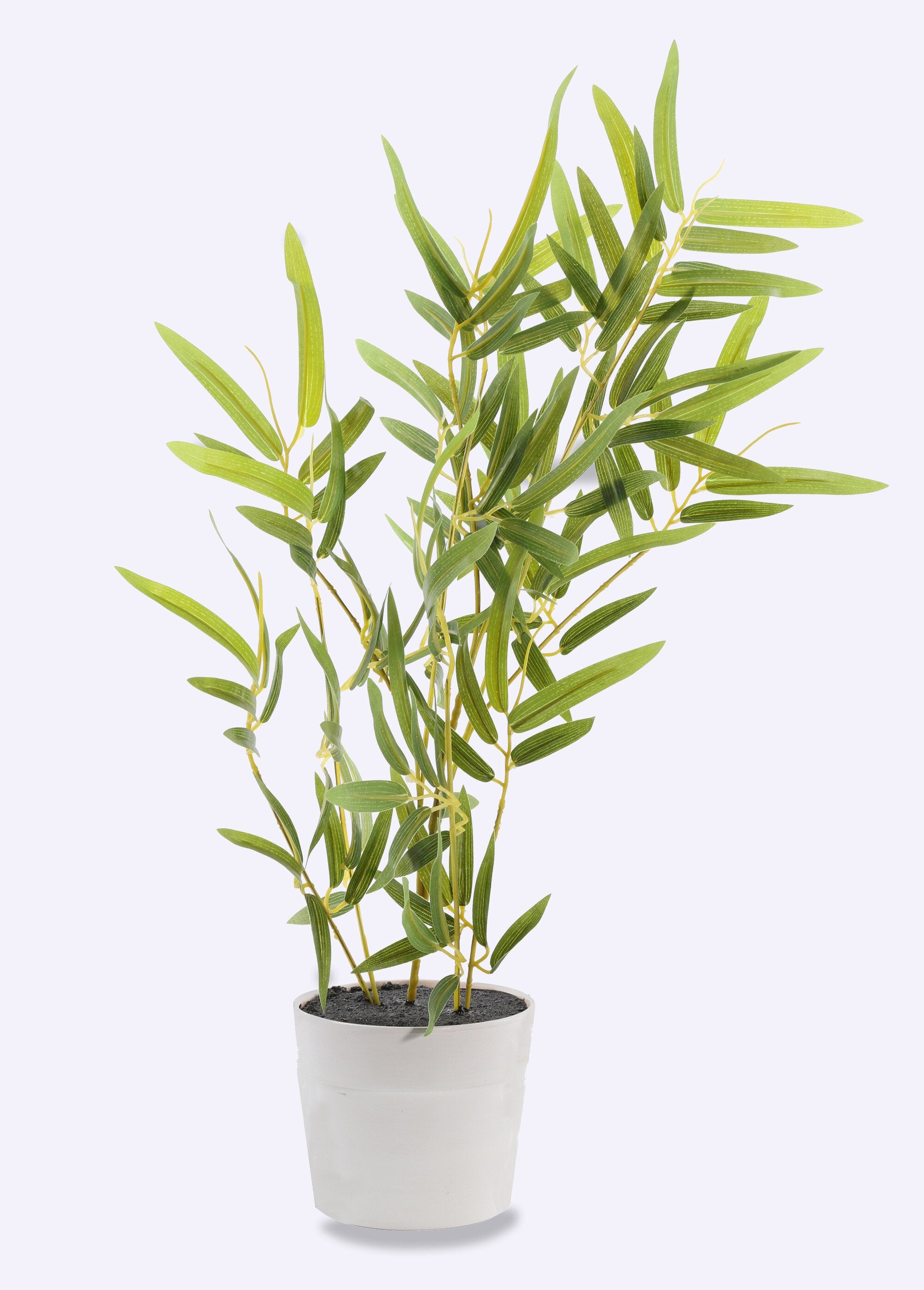 Artificial_bamboo_plant_+_concrete-effect_pot_White_FA1_slim